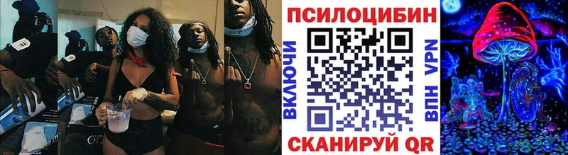 купить закладку  Сухиничи  Галлюциногенные грибы Magic Shrooms 